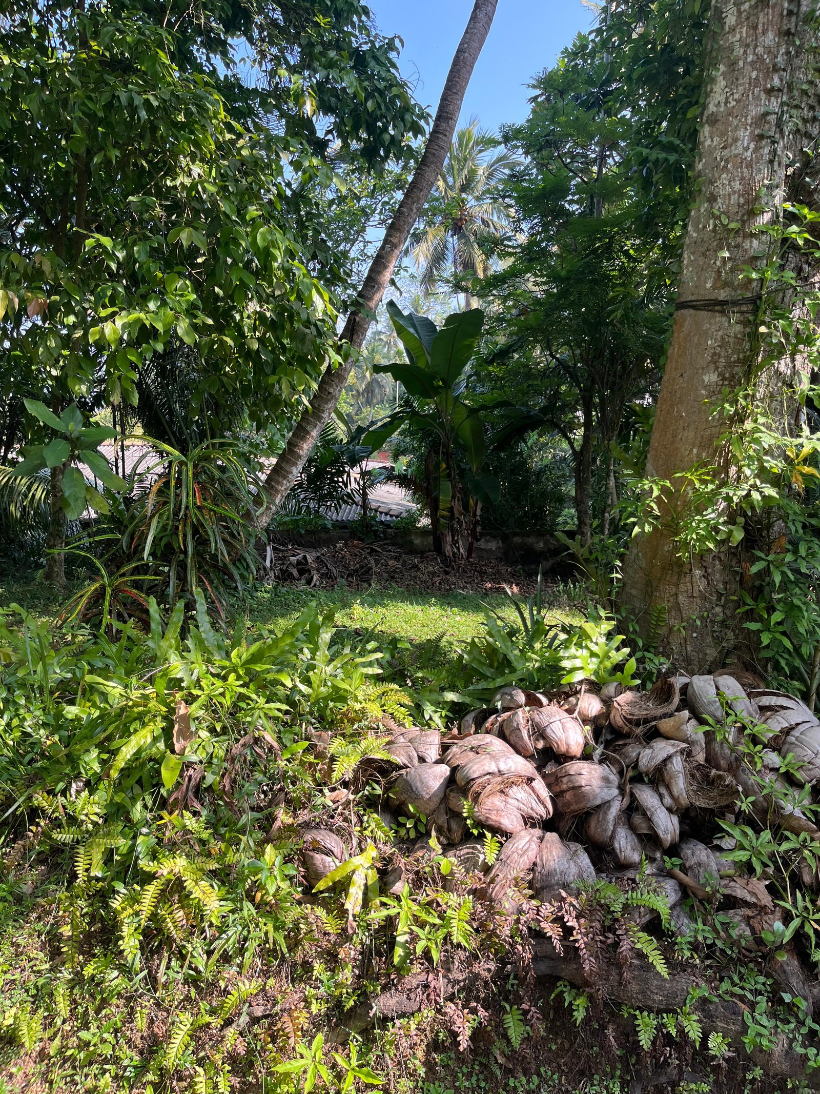 Exclusive Coastal Development Land photo 5